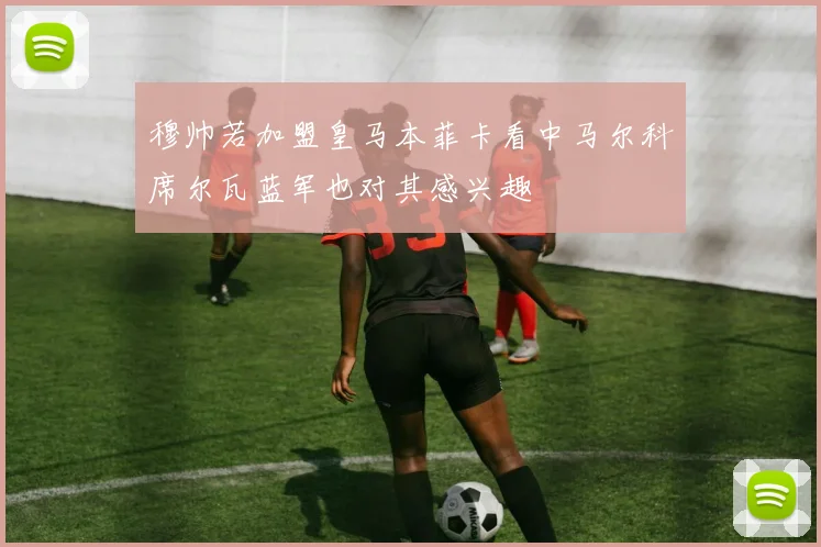穆帅若加盟皇马本菲卡看中马尔科席尔瓦蓝军也对其感兴趣